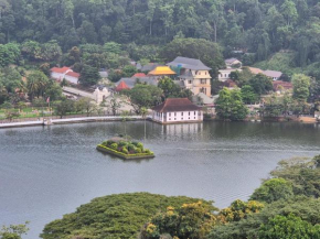 Lazy Bear Best Hostel in Kandy
